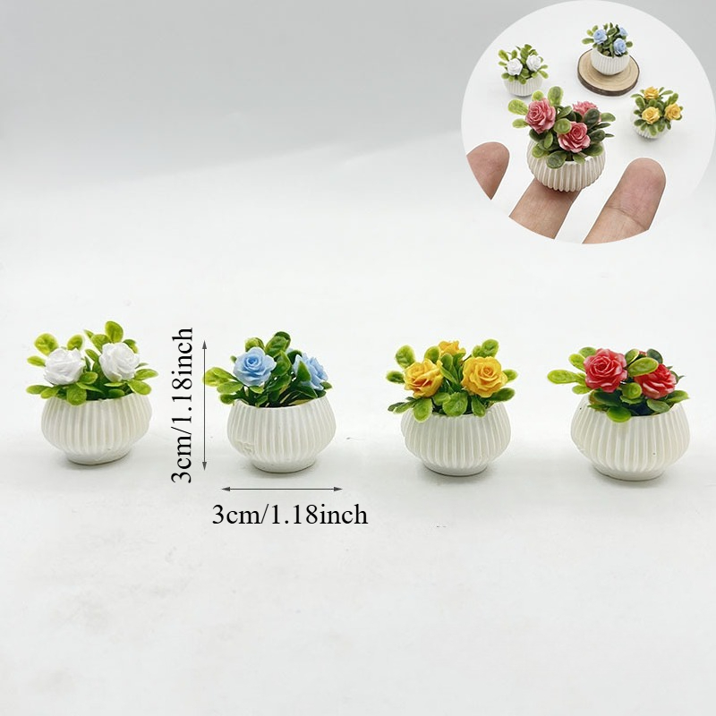 Plantes miniatures en pot de r - Badminton Live avis et prix